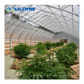 Greenhouses agricoles avec système de privation légère